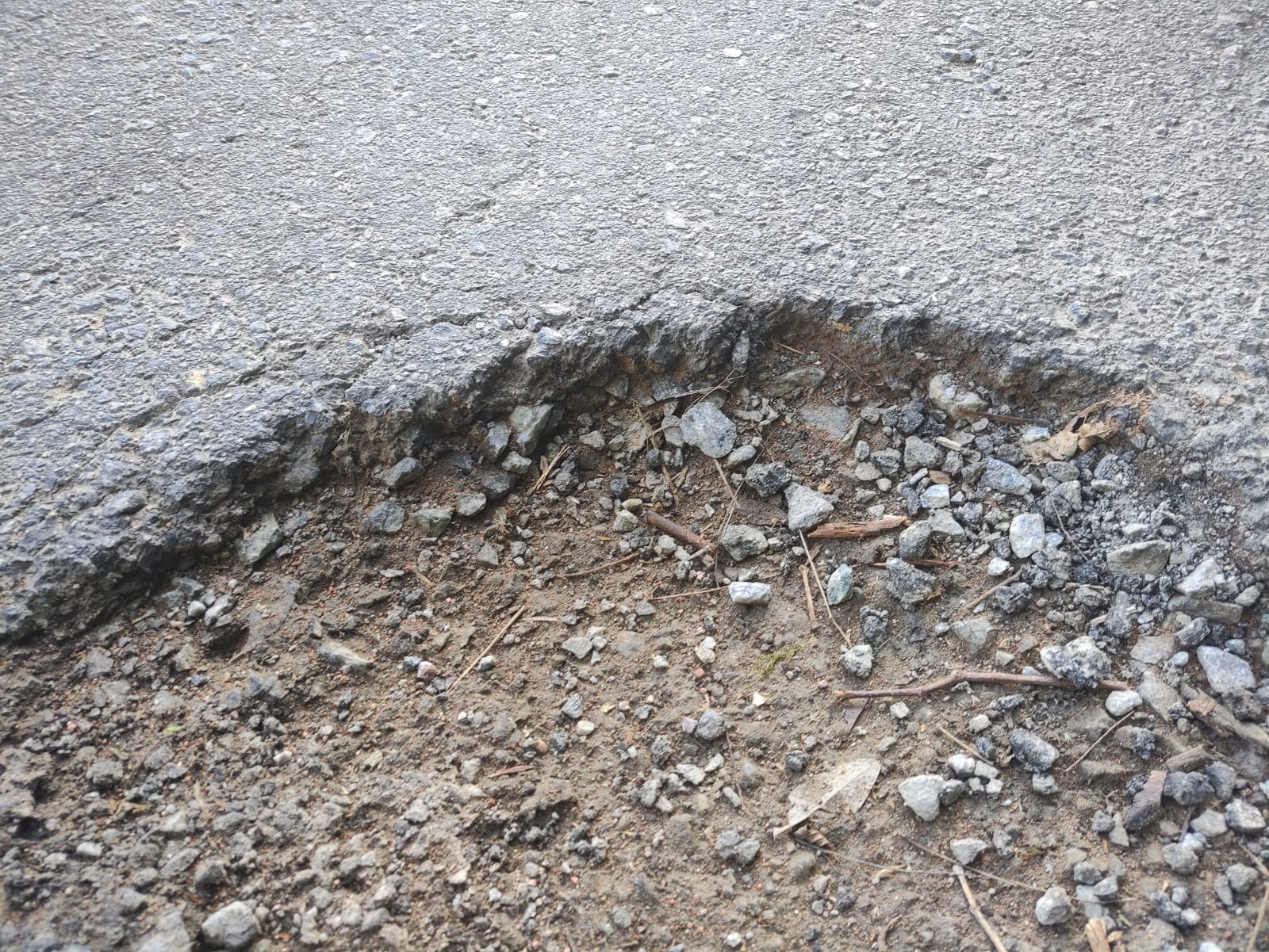 Rua recém pavimentada em Corupá já tem buracos, afundamento da pista e o asfalto está esfarelando em alguns pontos