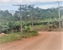 Vereador solicita retirada de postes de energia elétrica para segurança de quem trafega em estrada no interior de Corupá