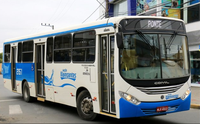Vereadora reclama e solicita estudo de empresa para aumentar linhas de ônibus entre Corupá e Jaraguá do Sul